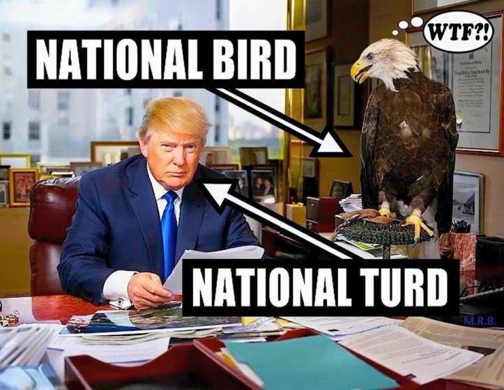 11904672_1070385879639940_2341773191004851966_n