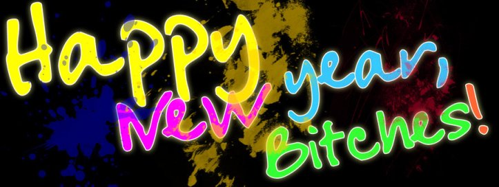 happy_new_year_bitches_by_pixeikid-d5q19vl