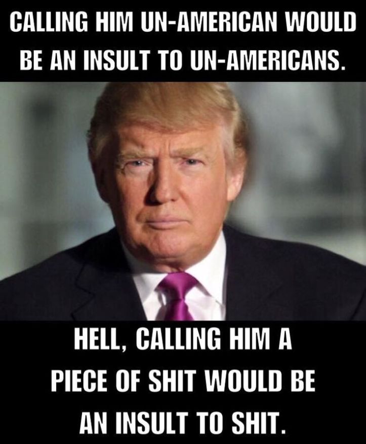 2d53efaa99c3891bdb5b3a6fff88a040--trump-face-donald-trump