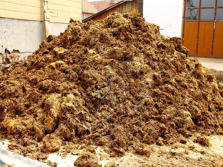 Big pile of manure, as background